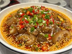 -红辣椒·川菜·火锅(大洋中心店)