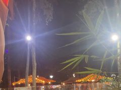 -二荆条·蜀鲜汇城市森林火锅