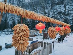 -雪谷