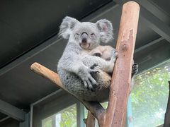 -味餐厅·海鲜·火锅·自助餐
