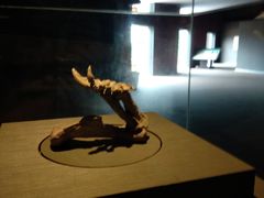 -世界恐龙谷景区