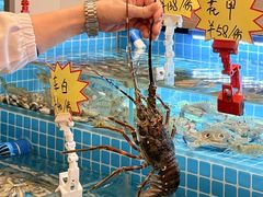 -汕头龙光喜来登酒店