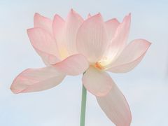 -书湘门地·中国十佳湘菜(西苑店)
