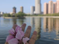 -迎泽公园