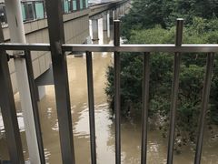 -盛天毛血旺非遗美食(观音桥店)