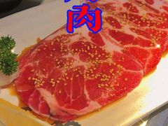 -猫爪爪原切自助烤肉(观音桥阳光世纪店)