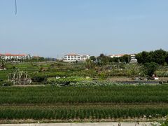 -鲮鱼村(龙归店)