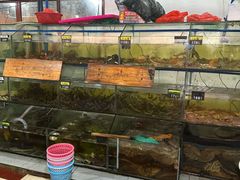 -岛中岛·海鲜大排档·万宁老字号(东澳店)