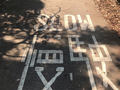 -南丫岛