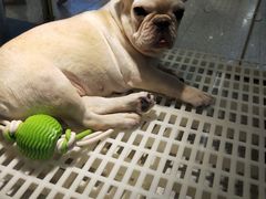 -乐宠宠物店(世纪金源店)