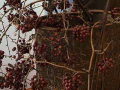 -MOJ coffee(瓯海泽雅水碓坑店)