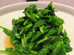 -柿合缘新京菜(国金中心商场店)
