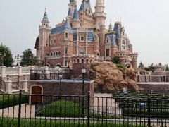 -迪士尼火鸡腿