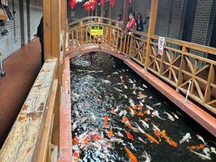 -侠成水上农庄(工业大道店)