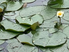 -长春市南湖公园