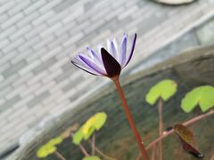 -龙潭水乡