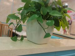 -八郎餐饮一八郎家常菜(环宇店)