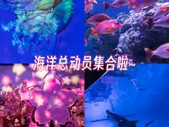 -正佳极地海洋世界