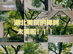 -湖北美术学院(昙华林校区)