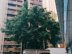 -琬苑鸽庄·川粤融合菜(解放碑总店)