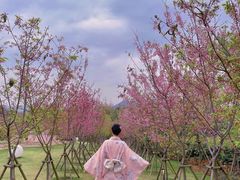 -福建鲤鱼洲酒店