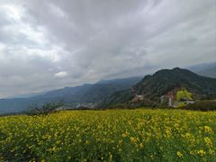 -石潭村