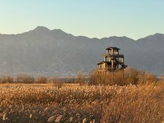 -野鸭湖国家湿地公园