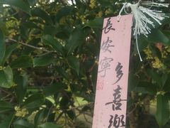 -凤城河风景区