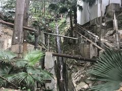 -香港大学