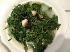 -至潮餐厅精致粤菜·活鲈鱼·走地鸡(珠江新城店)