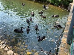 -长白岛森林公园