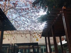 -春晖园度假酒店温泉