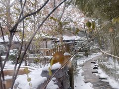 -春晖园度假酒店温泉