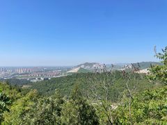 -府君山公园