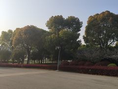 -尚贤河湿地