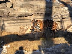 -北京野生动物园