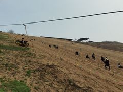 -古柏渡飞黄旅游区