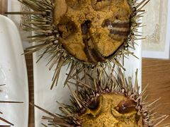 -海胆小馆(东北水饺·春柳店)