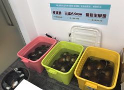 点击看大图 -邵老师打金·黄金加工(大望路总店)