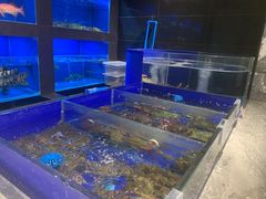 水产区-金时代顺风大酒店(临港百联店)