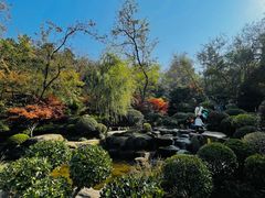 -北岭山森林公园