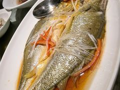 -上海新锦江大酒店