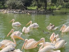 -云南野生动物园