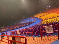 -广州长隆国际大马戏