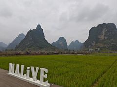 -明仕田园