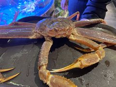 -松鱼亭·和牛烧肉(协鑫广场店)