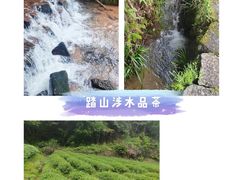 -武夷山风景名胜区-虎啸岩