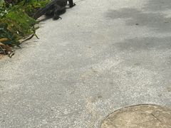 -巴拉湾海滩