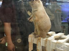 -宠物世家(仲盛世界商城店)
