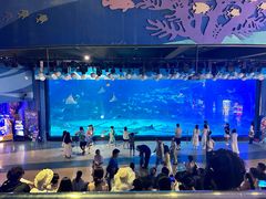 -烟台海昌鲸鲨海洋公园